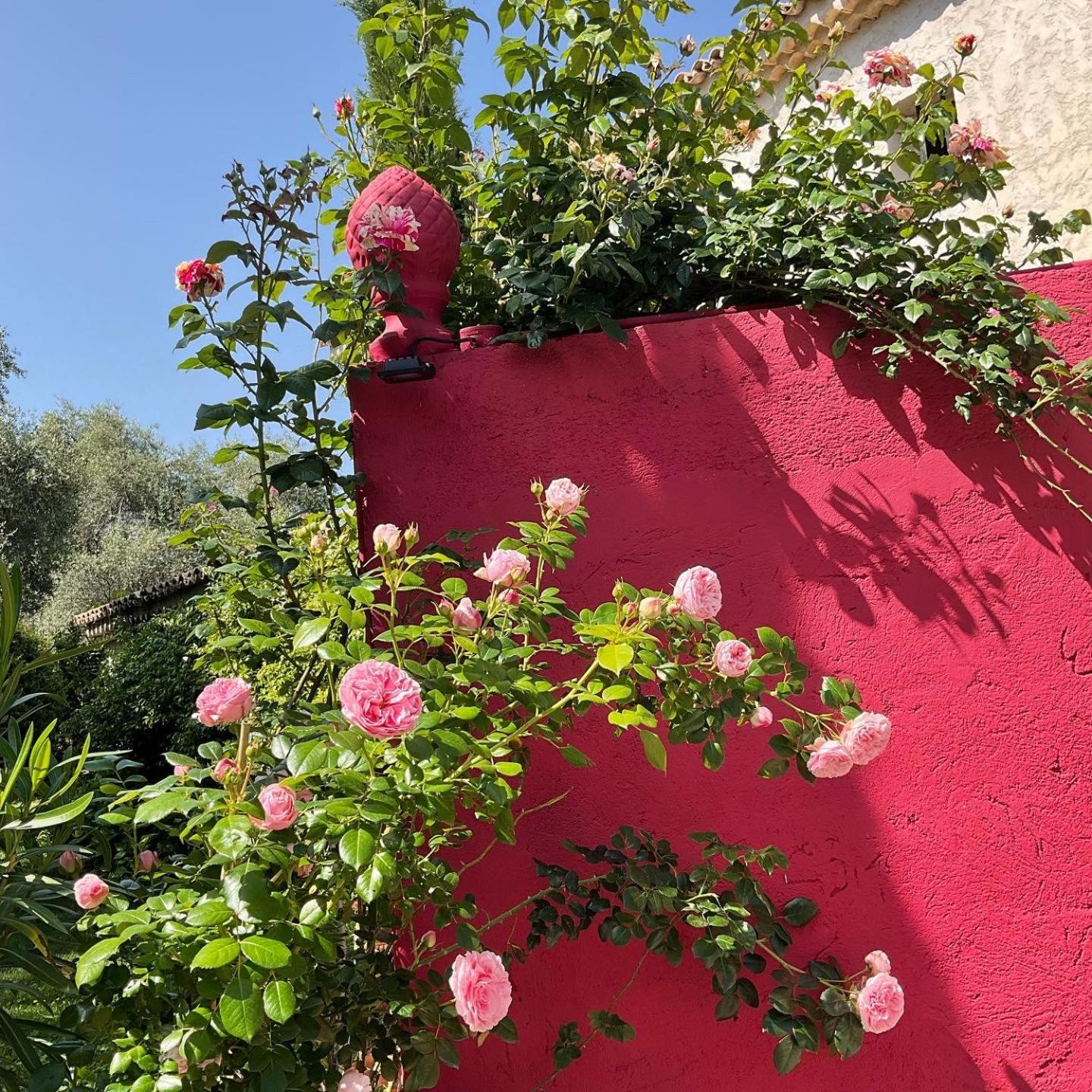 Mas De Provence En Riviera Hotell La Roquette-sur-Var Eksteriør bilde